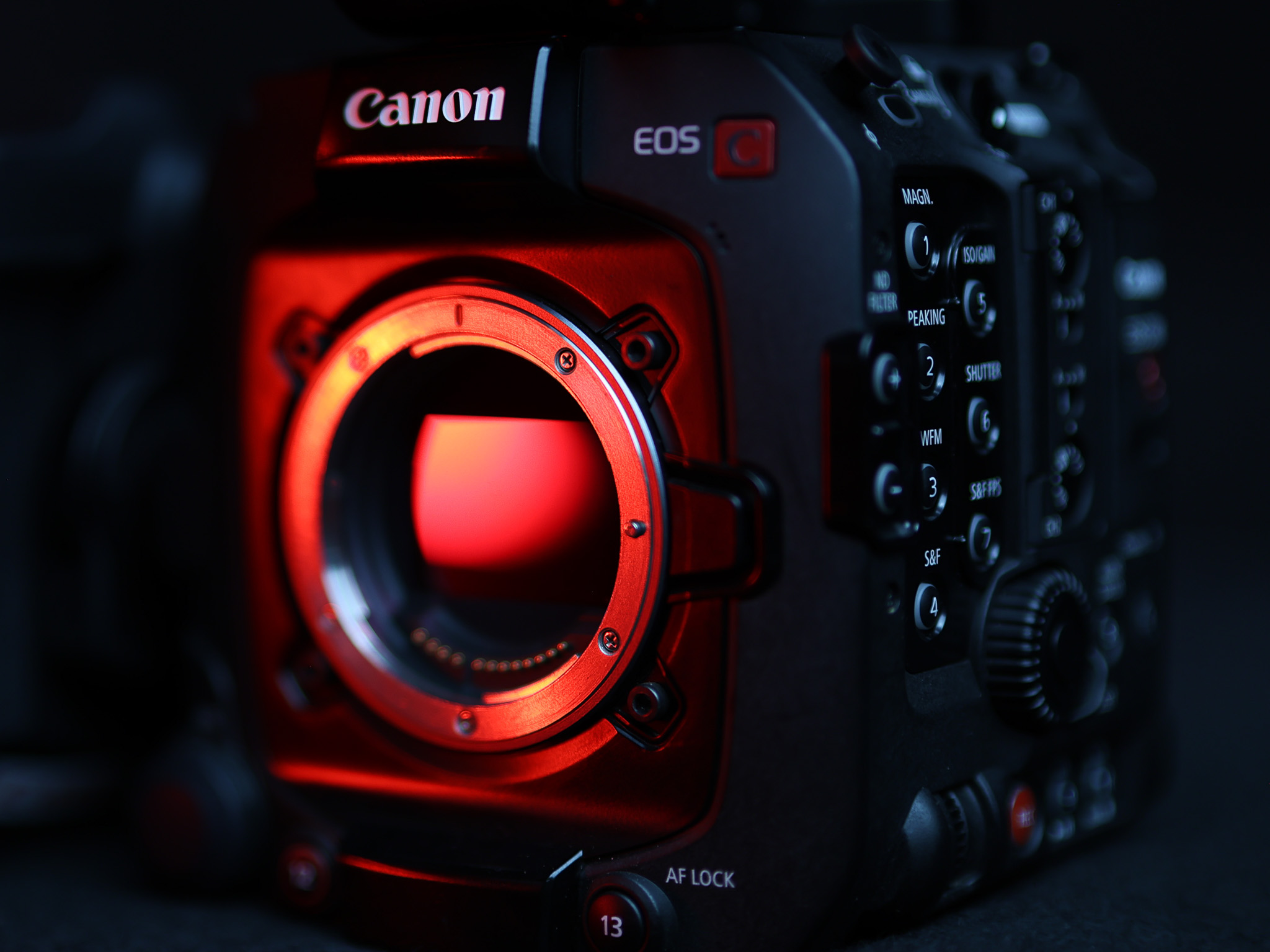 Canon Cinema EOS side profile with professional controls